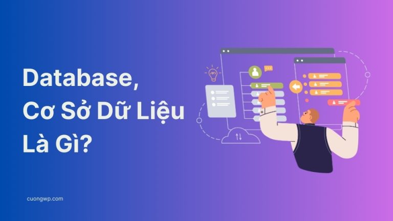 Database Là Gì? Vì Sao Website Cần Có Cơ Sở Dữ Liệu?