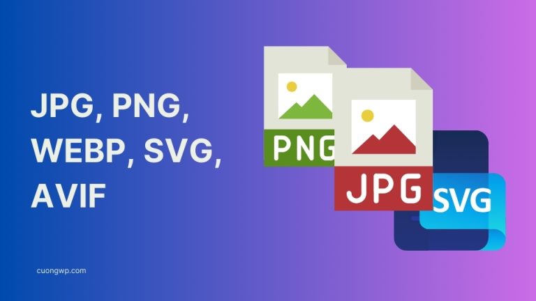 Hiểu Biết Các Định Dạng Hình Ảnh Khi Đăng Lên Website: JPG, PNG, WEBP, SVG, AVIF
