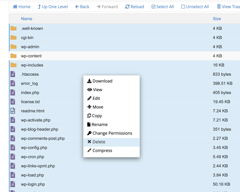 filemanager public html